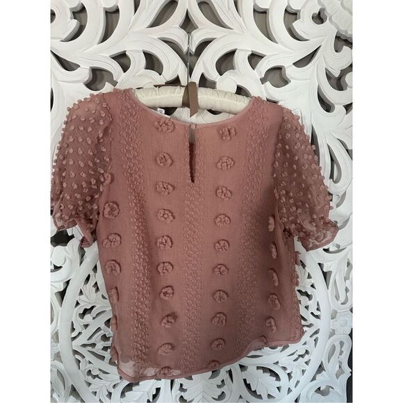 Mine Embellished Sheer Blouse - Picture 3 of 9